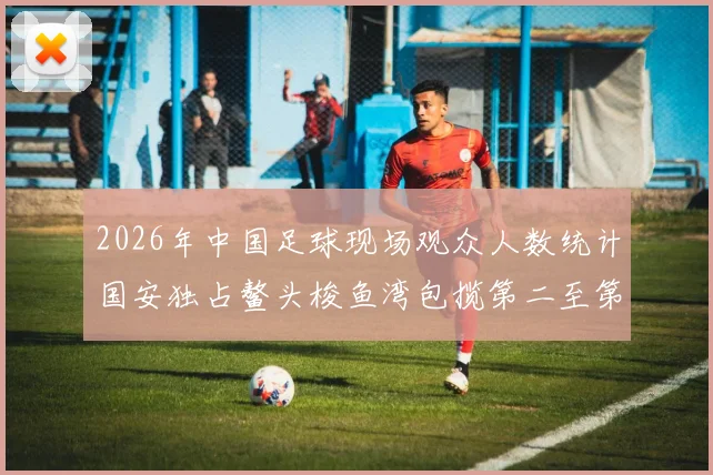 2026年中国足球现场观众人数统计国安独占鳌头梭鱼湾包揽第二至第七位