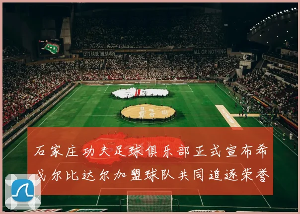 石家庄功夫足球俱乐部正式宣布希戈尔比达尔加盟球队共同追逐荣誉